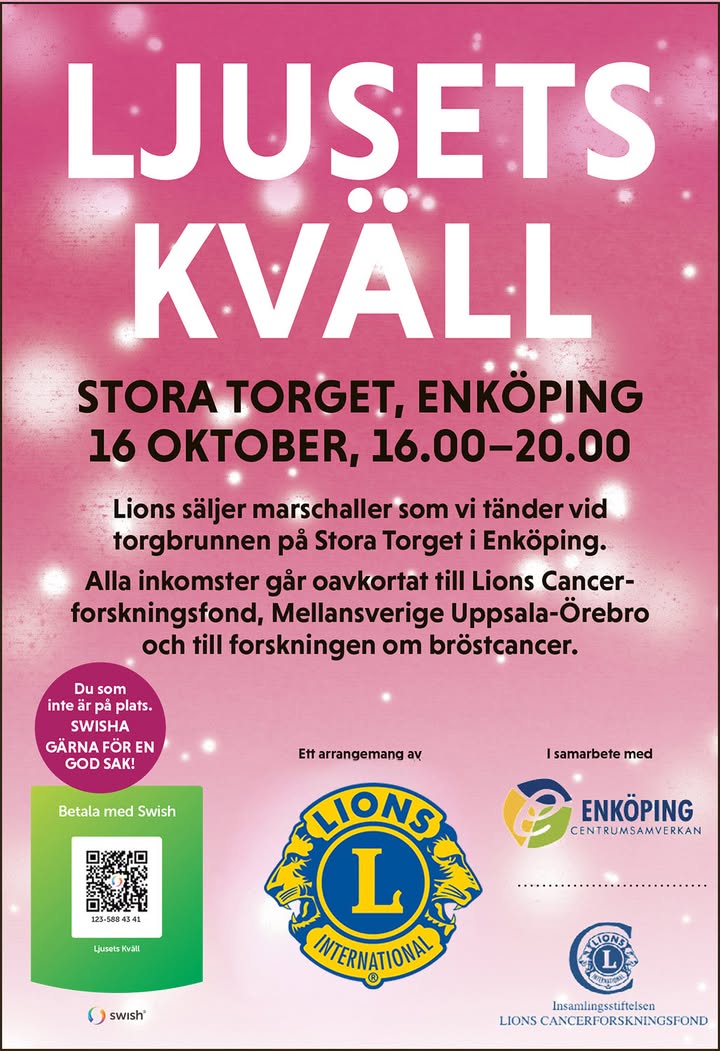 Flyer LK rätt logga