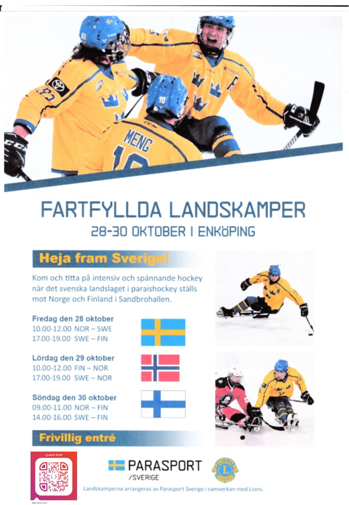 Flyer Parahockey